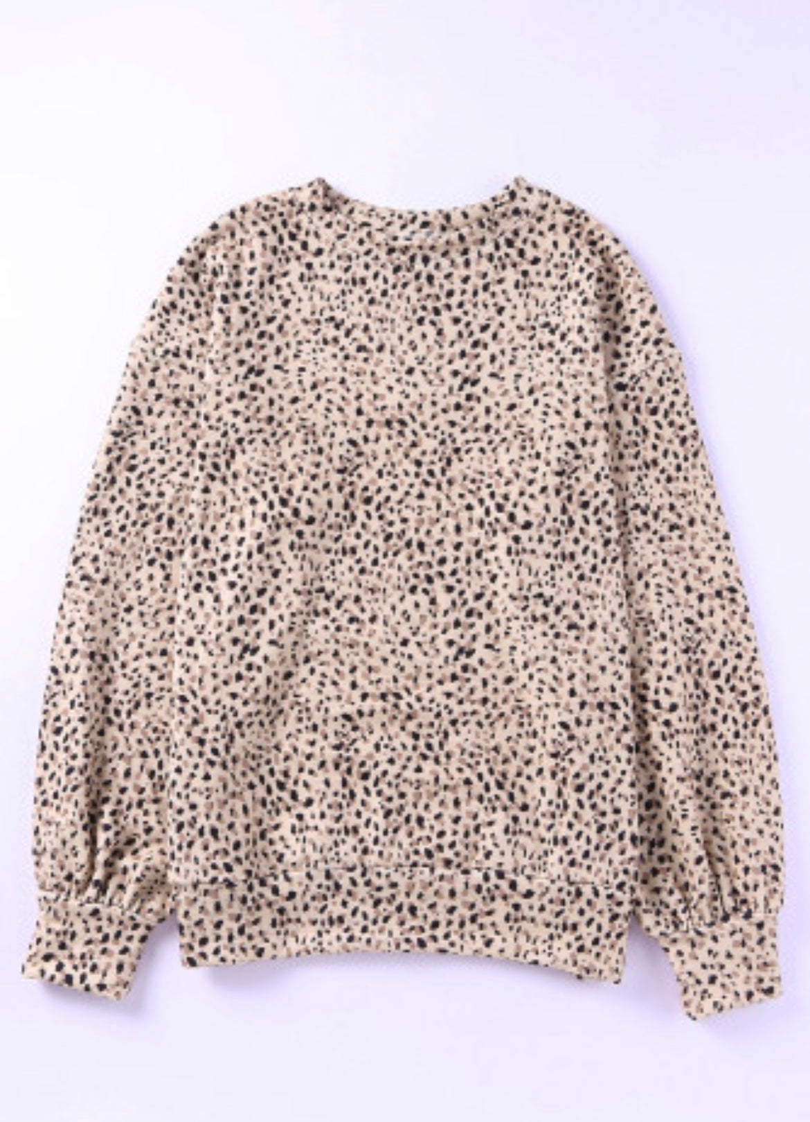Leopard sweatshirt