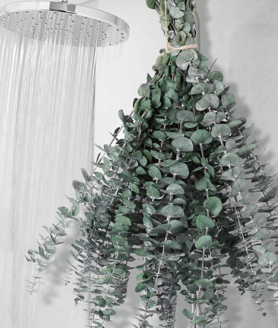 Spa Eucalyptus bundle