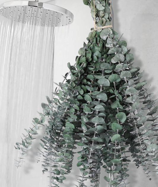 Spa Eucalyptus bundle